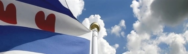 def friese vlag