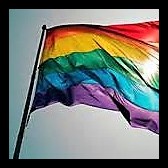 Regenboogvlag vierkant.jpg