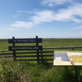Fryske Gea Warkumerwaard vk.jpg