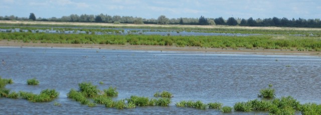 Natte natuur