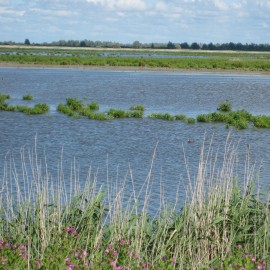 Natte natuur