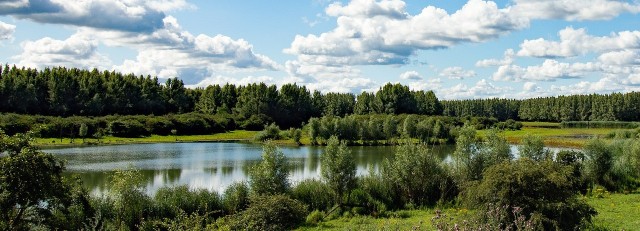 Natuurgebied