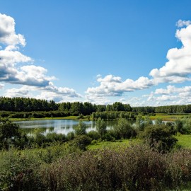 Natuurgebied