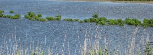 werkbezoek Lauwersmeer 2014 6
