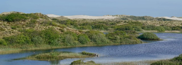 terschelling-water.jpg