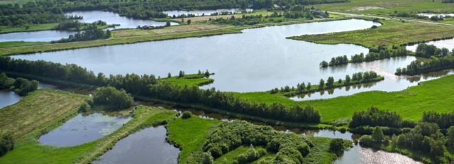 Groote Veenpolder Rob de Wind vk.jpg